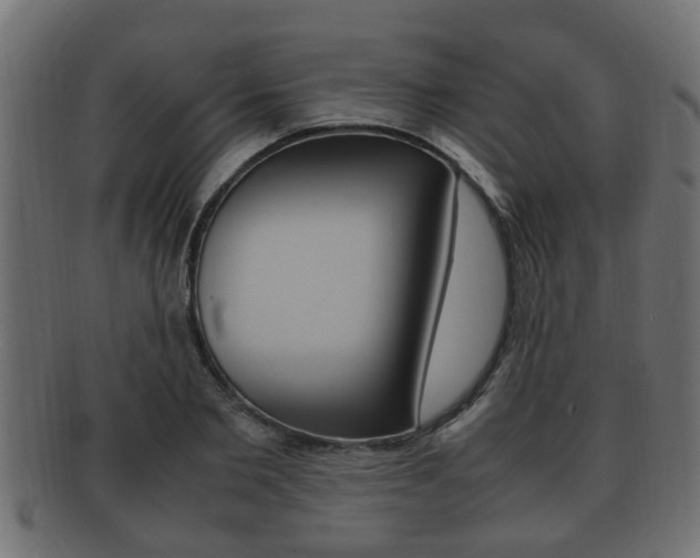 X0000092330885200709141115