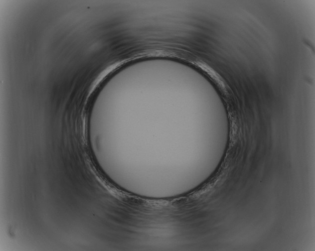X0000092330886200709141115