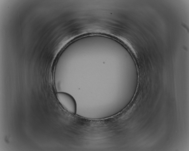 X0000092330887200709141115