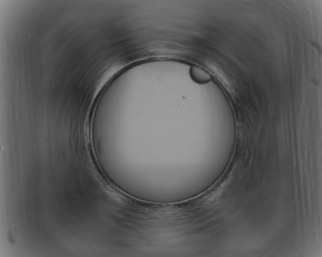 X0000092330891200709141115