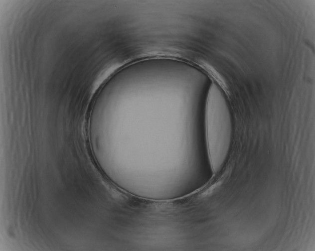 X0000092330893200709141115