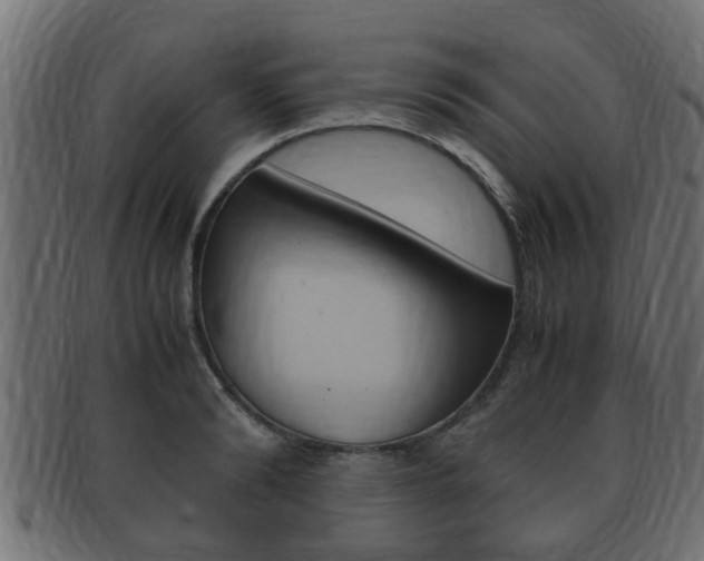X0000092330894200709141115