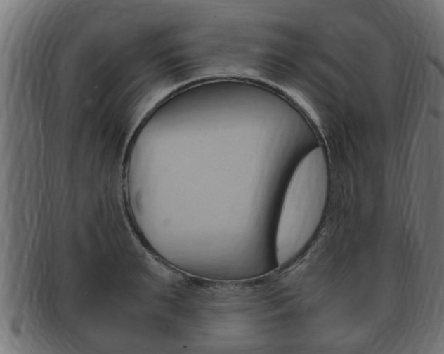 X0000092330895200709141115