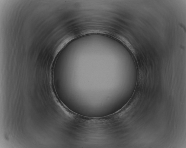 X0000092330898200709141115