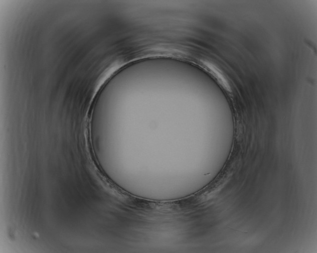 X0000092330899200709141115