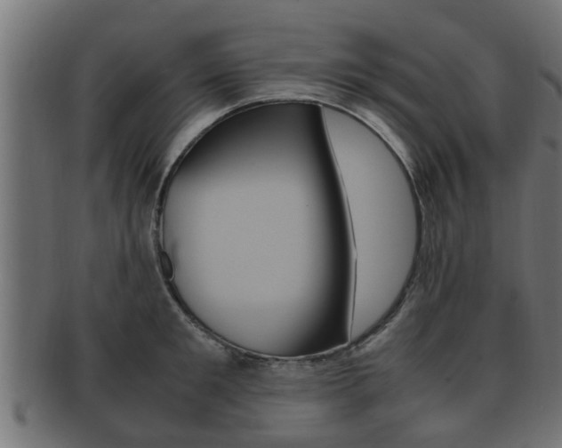 X0000092330901200709141115