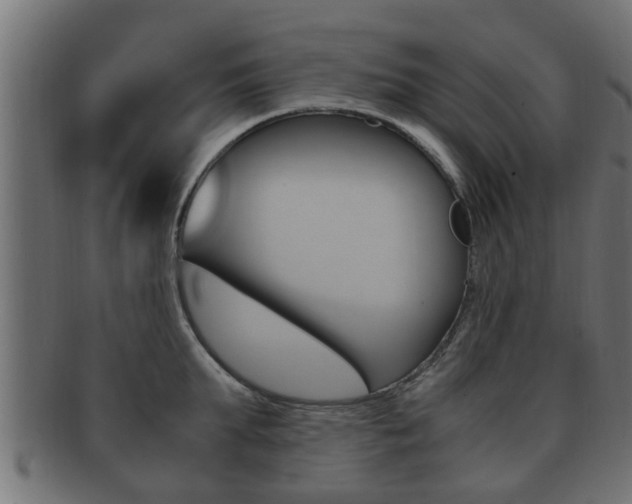X0000092330903200709141115