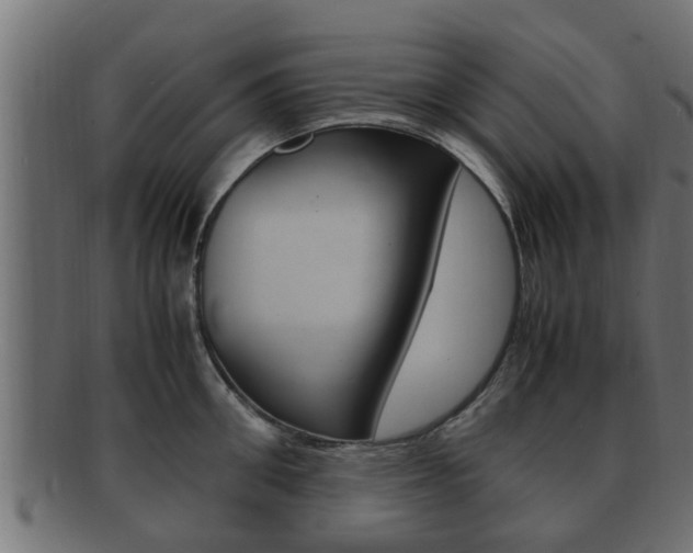 X0000092330906200709141115