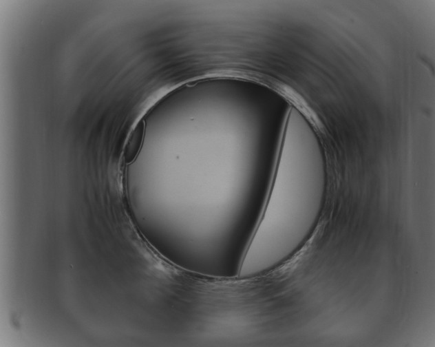 X0000092330908200709141115