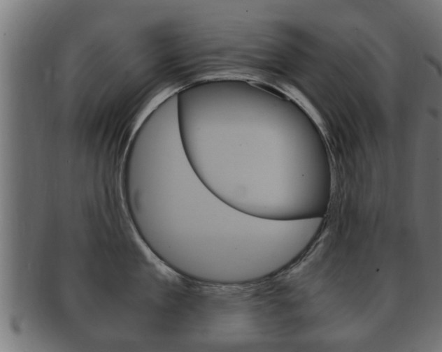 X0000092330909200709141115