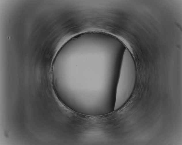 X0000092330911200709141115