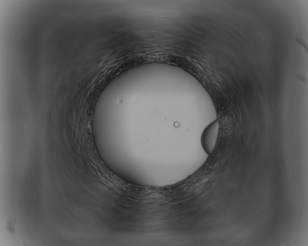 X0000092330913200709141114