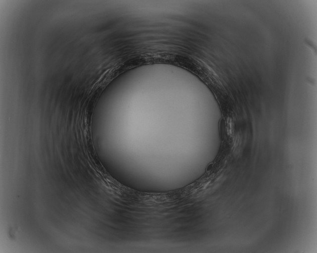 X0000092330915200709141114