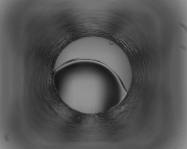 X0000092330916200709141114