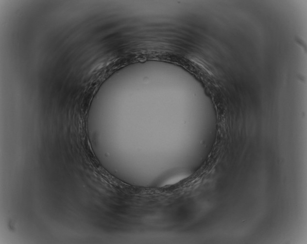 X0000092330917200709141114