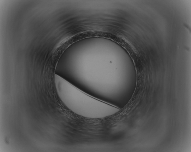 X0000092330919200709141114