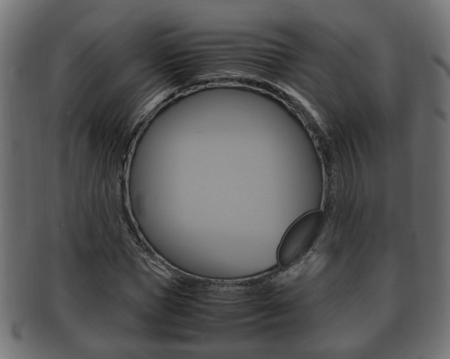 X0000092330921200709141114
