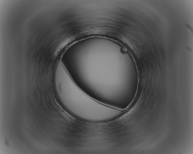 X0000092330922200709141114