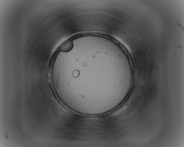 X0000092330925200709141114