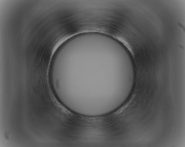 X0000092330928200709141114
