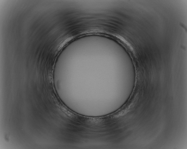 X0000092330929200709141114