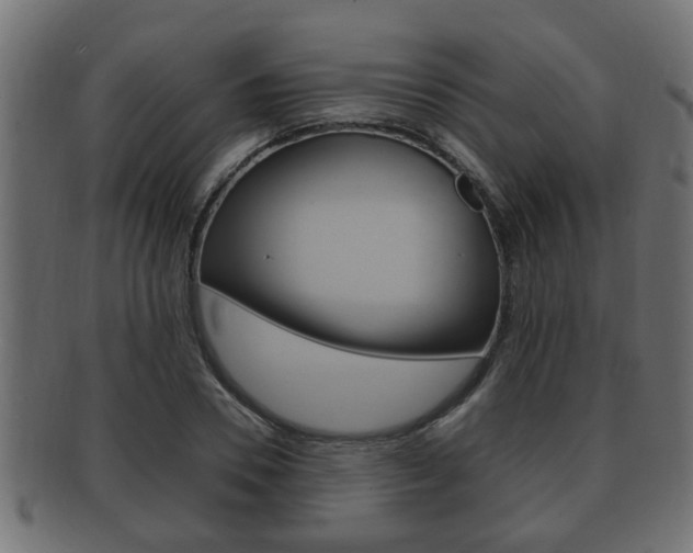 X0000092330930200709141114