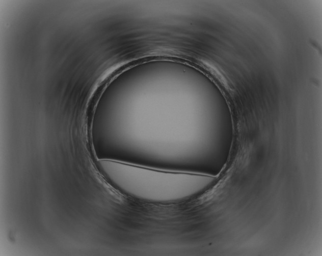X0000092330931200709141114