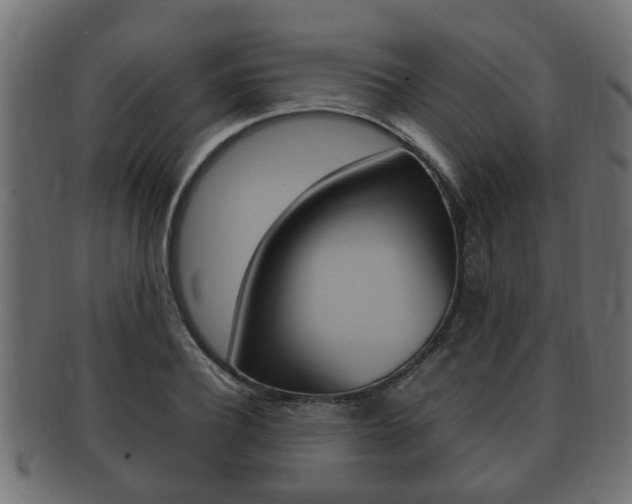 X0000092330932200709141114