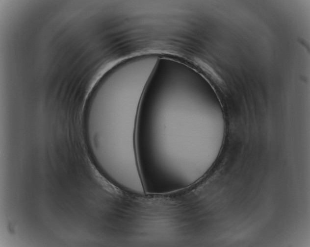 X0000092330934200709141114
