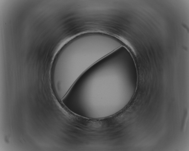 X0000092330935200709141114