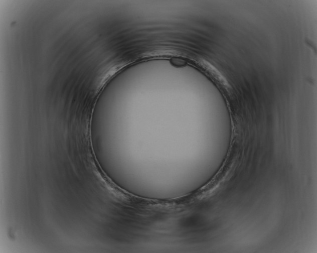 X0000092330937200709141114