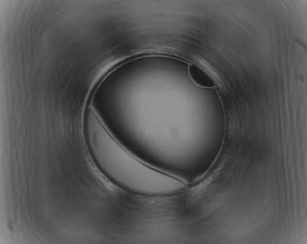 X0000092330940200709141115