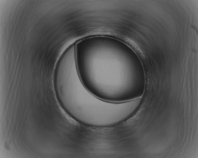 X0000092330942200709141115