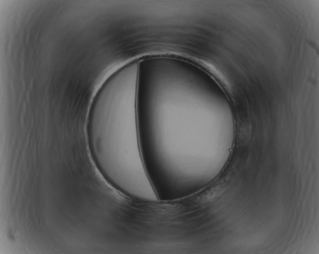 X0000092330943200709141115