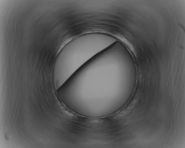 X0000092330945200709141115