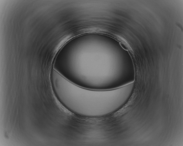 X0000092330946200709141115
