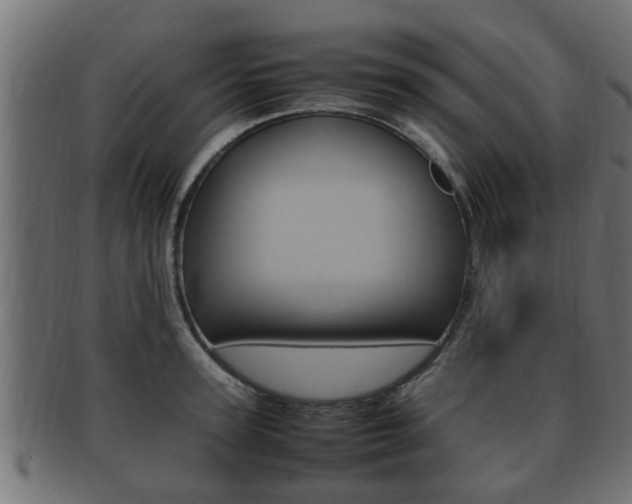 X0000092330947200709141115