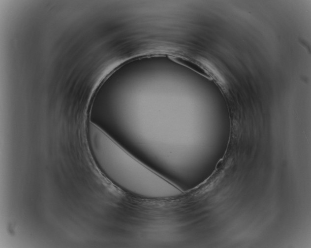 X0000092330948200709141115