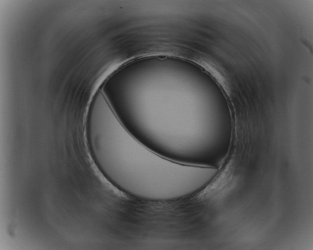 X0000092330949200709141115
