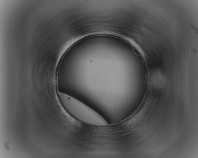 X0000092330951200709141115