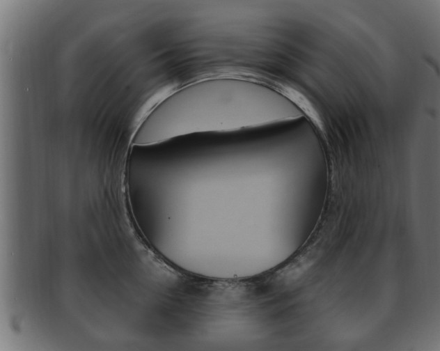 X0000092330954200709141115