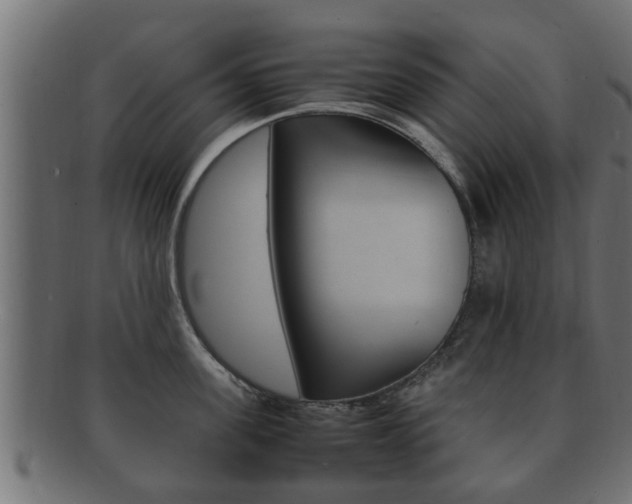 X0000092330955200709141115