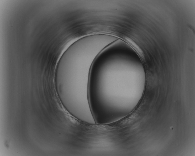 X0000092330956200709141115