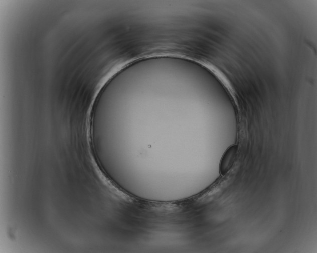 X0000092330957200709141115