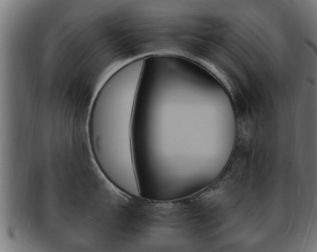 X0000092330959200709141115
