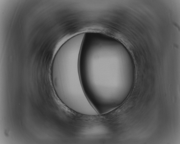 X0000092330960200709141115
