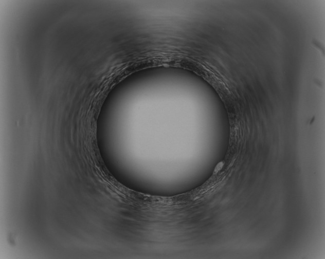 X0000092330961200709141114