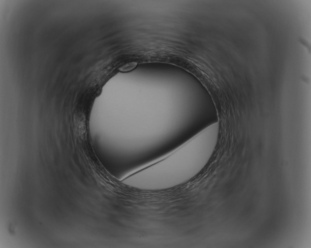X0000092330963200709141114