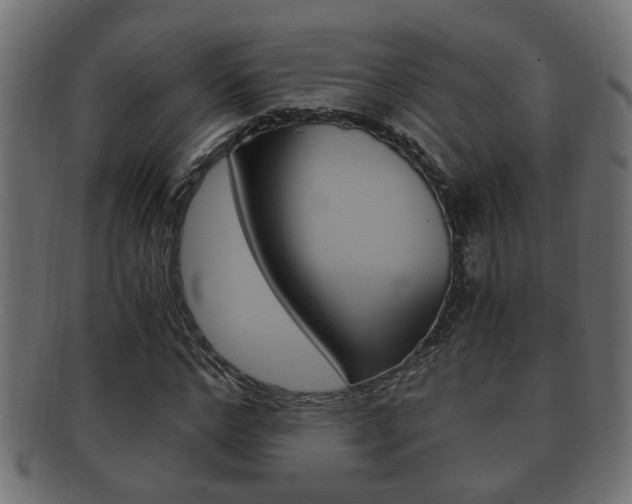 X0000092330968200709141114
