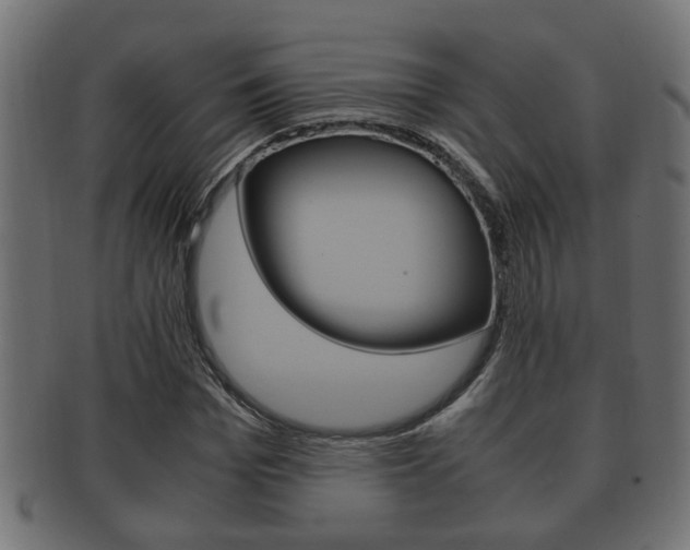 X0000092330969200709141114